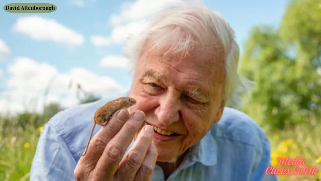 David Attenborough