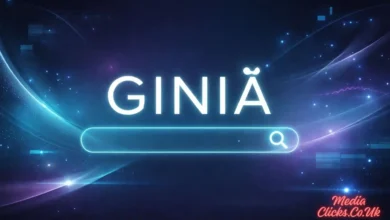 Giniä
