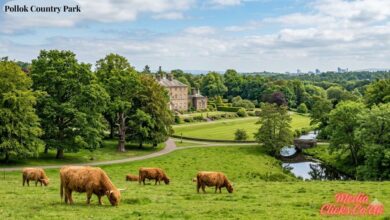 Pollok Country Park